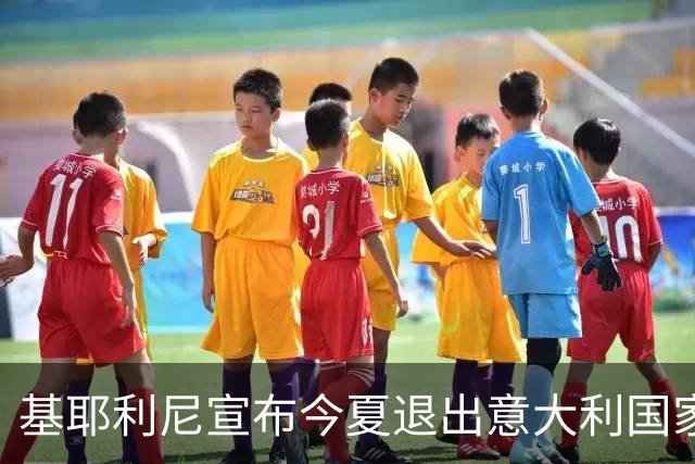 基耶利尼宣布今夏退出意大利国家队 6月最后一战