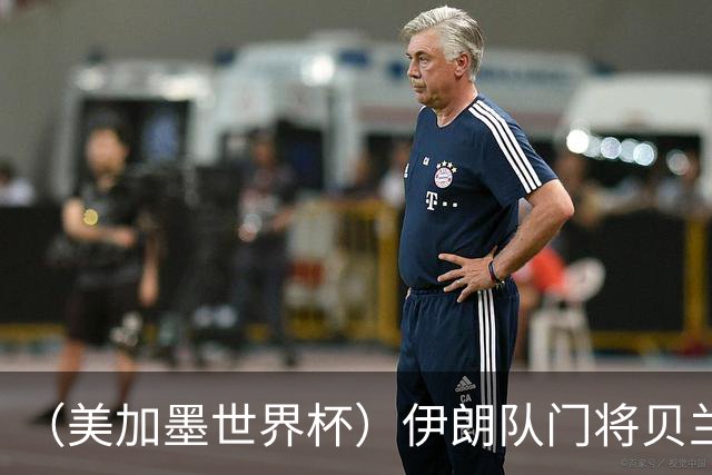 （美加墨世界杯）伊朗队门将贝兰万德的“满分”